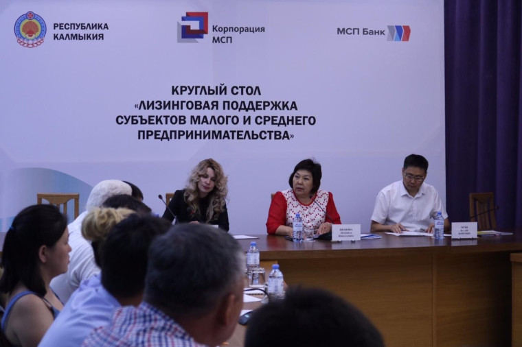 В Доме Правительства Республики Калмыкия прошло заседание круглого стола на тему: «Лизинговая поддержка субъектов МСП».